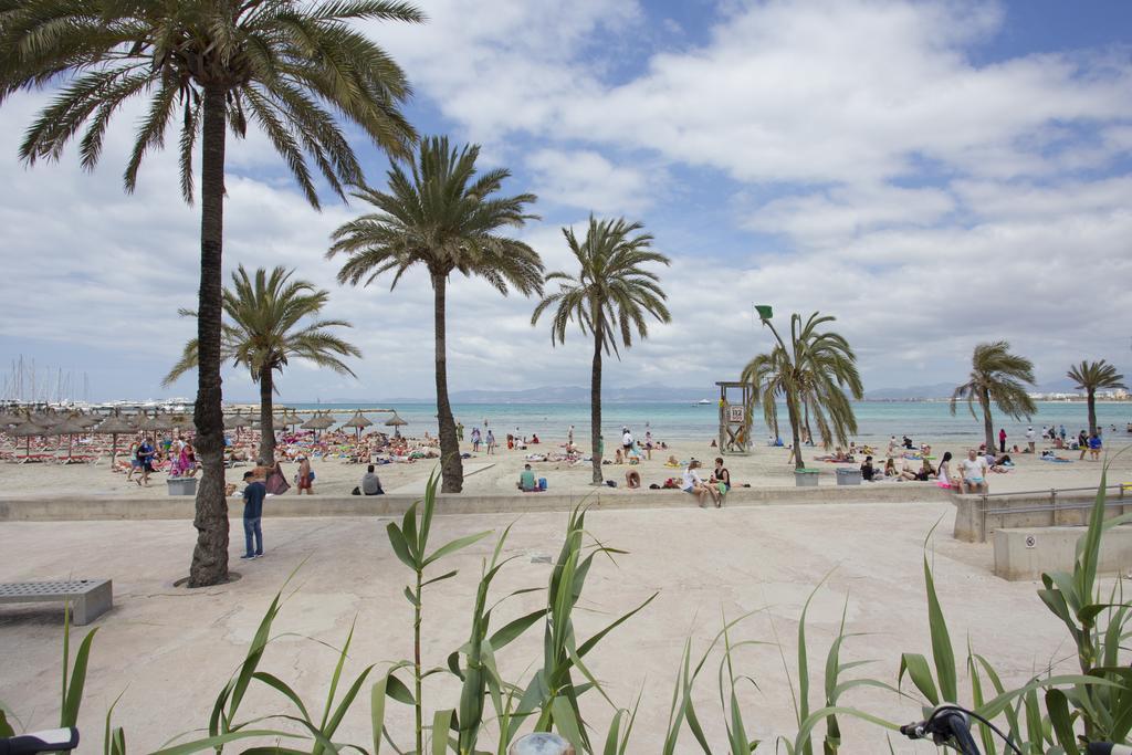 Els Pins Hébergement de vacances Palma